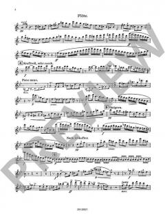 Quintett op. 52 (Theodor Blumer) 