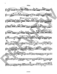 Quintett op. 52 (Theodor Blumer) 