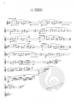 20 Modern Studies in Rhythm and Interpretation von James Rae 