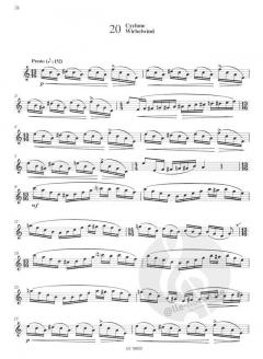 20 Modern Studies in Rhythm and Interpretation von James Rae 