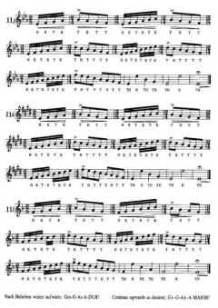 Etüden über neue Zungenstoß- und Atem-Techniken 