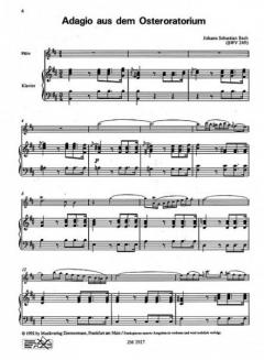 Adagio aus dem Osteroratorium BWV 249 von Johann Sebastian Bach 
