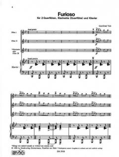 Furioso von Gottfried Veit 