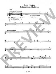 Für den zeitgenössischen Flötisten von Wil Offermans 