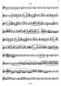 3 Duos concertants op. 34 von Jean-Louis Tulou 