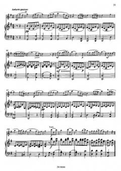 Zwei Fantasien op. 30 und op. 36 von Jean-Louis Tulou 