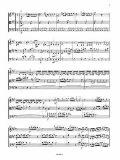 Sechs Trios von Allessandro Rolla 