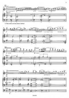 Meditationen von Günter Fork 