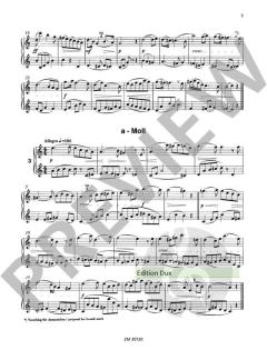 33 melodische Übungsstücke von Fritz Flemming 