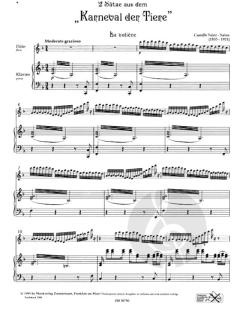 2 Sätze aus dem Karneval der Tiere von Camille Saint-Saëns 