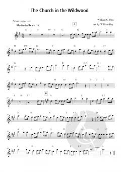 100 Gospel Songs and Hymns von William Bay 