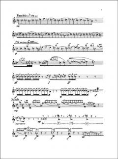 Musica Vneukokhvaja von Niccolo Castiglioni 