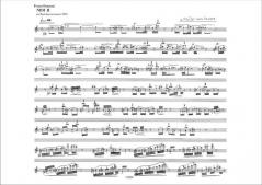 Nidi II von F. Donatoni 