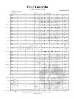 Flute Concerto von Peter Senchuk 