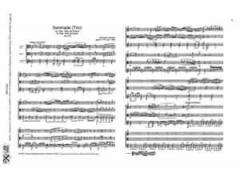 Serenade (Trio) op. 26 (Wenzel Matiegka) 