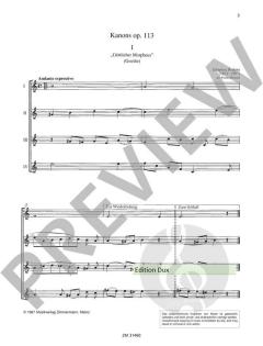 13 Kanons op. 113 von Johannes Brahms für 3-6 Flöten im Alle Noten Shop kaufen