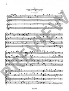 13 Kanons op. 113 von Johannes Brahms für 3-6 Flöten im Alle Noten Shop kaufen