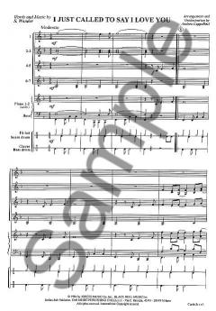 I Just Called To Say I Love You (Stevie Wonder) 