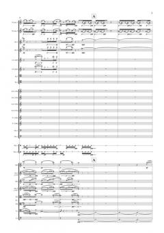 Enchantress Five Intermezzi for Orchestra von Bent Sørensen im Alle Noten Shop kaufen (Partitur)