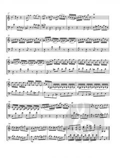 12 Duetti ed un capriccio concertanti - Band 1 (Duetto 1-7) von Luigi Savi 