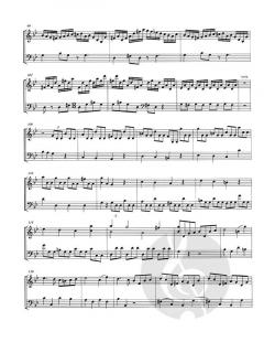 12 Duetti ed un capriccio concertanti - Band 1 (Duetto 1-7) von Luigi Savi 