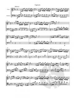 12 Duetti ed un capriccio concertanti - Band 2 (Duetto 8-12 und Capriccio) von Luigi Savi 