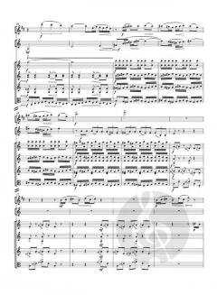 Serenade Nr. 1 H 217 von Bohuslav Martinu 