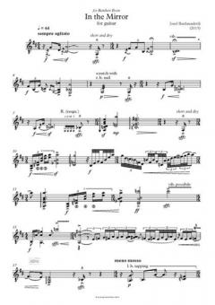 in the mirror von Josef Bardanashvili 