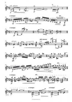 in the mirror von Josef Bardanashvili 