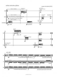 treiben.schweben.splitten von Susanne Stelzenbach 