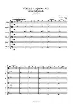 Midsummer Night's Gardens von Arvydas Malcys 