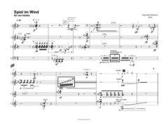 Spiel im Wind von Jörg-Peter Mittmann 