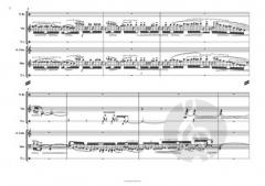 lines von Nikolaus Brass 