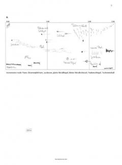 BiPol 1 von Thomas Gerwin 