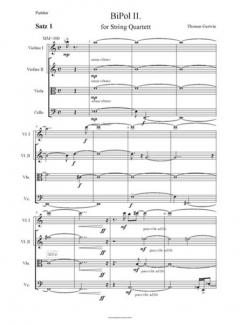 BiPol 2 von Thomas Gerwin 