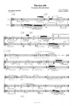 The Last Ebb von Jérôme Combier 