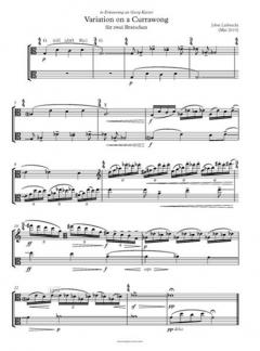 Variation on a Currawong von Jobst Liebrecht 