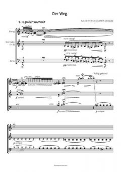 Der Weg von Klaus Hinrich Stahmer 
