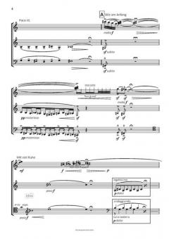 Der Weg von Klaus Hinrich Stahmer 