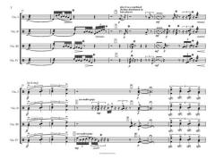 Nico-Nico von Dieter Mack 