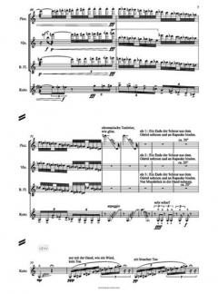 Rapauke im Spinnennetz von Mayako Kubo 