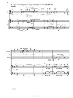 Celanfragmente von Nikolaus Brass 