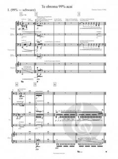 Klanggitter - Stimmen - Epilog von Gabriel Iranyi 