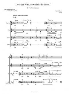...wie der Wind, so wirbeln die Töne… von Gabriel Iranyi 