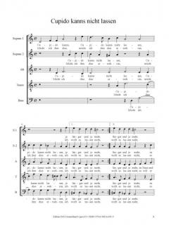 Cupido kanns nicht lassen von Valentin Haußmann 