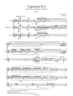 Capriccio Nr.3 von Thomas Jahn 