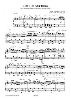 Tico Tico Alla Turca 