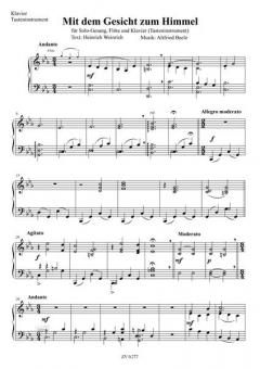 Mit dem Gesicht zum Himmel von Altfried Beele 