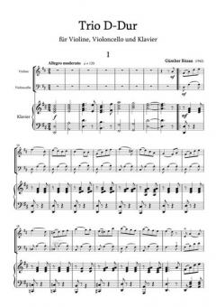 Trio D-Dur 