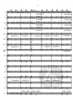 Achtung! Hornado! von Gottfried Hummel 